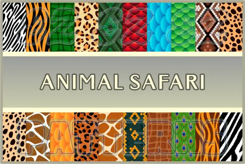 Animal Safari