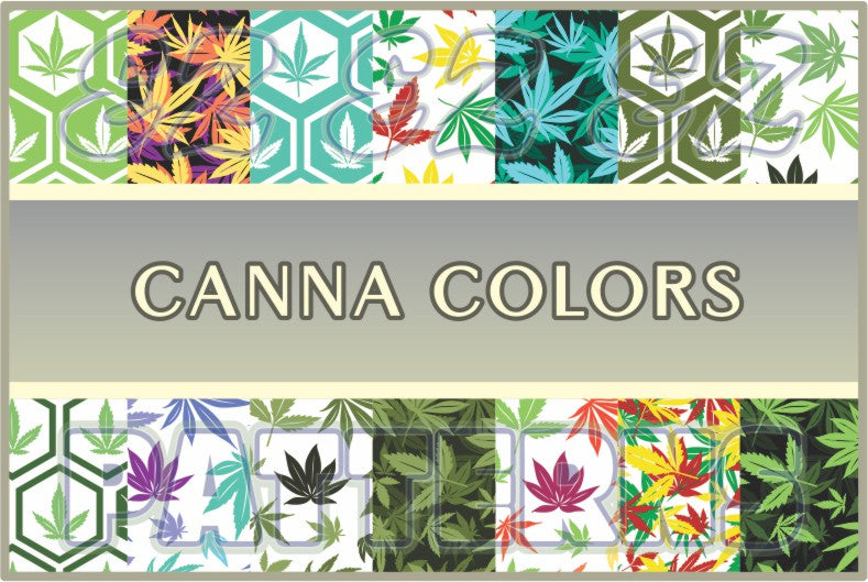 Canna Colors